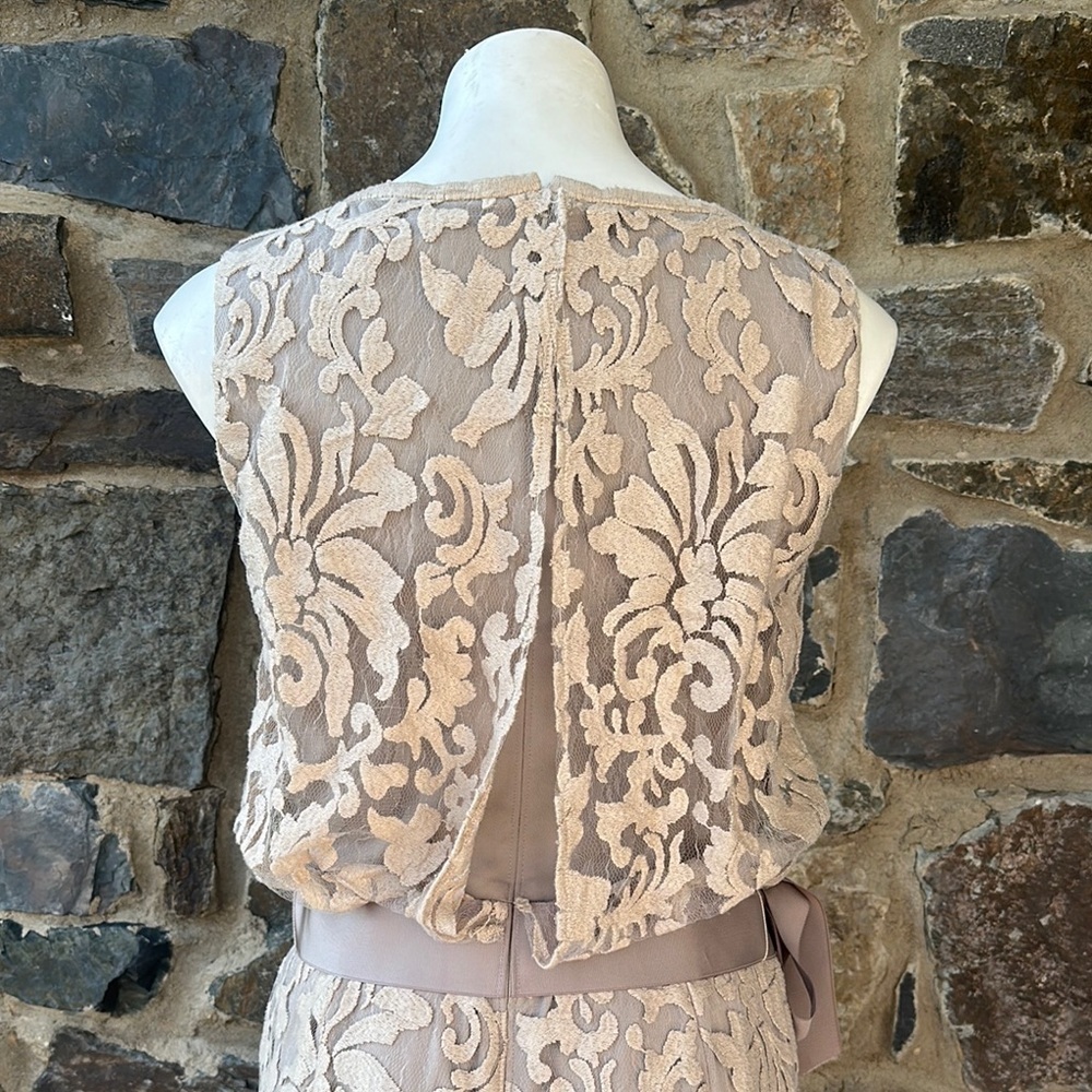 Tadashi Shoji Lace Overlay Dress Beige Nude Blouson Waist Size 8 Cocktail - Picture 6 of 7